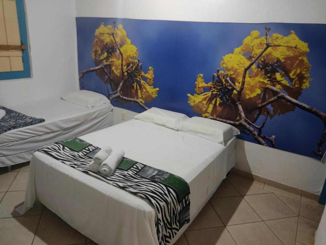Pousada Colonial Pirenópolis Εξωτερικό φωτογραφία